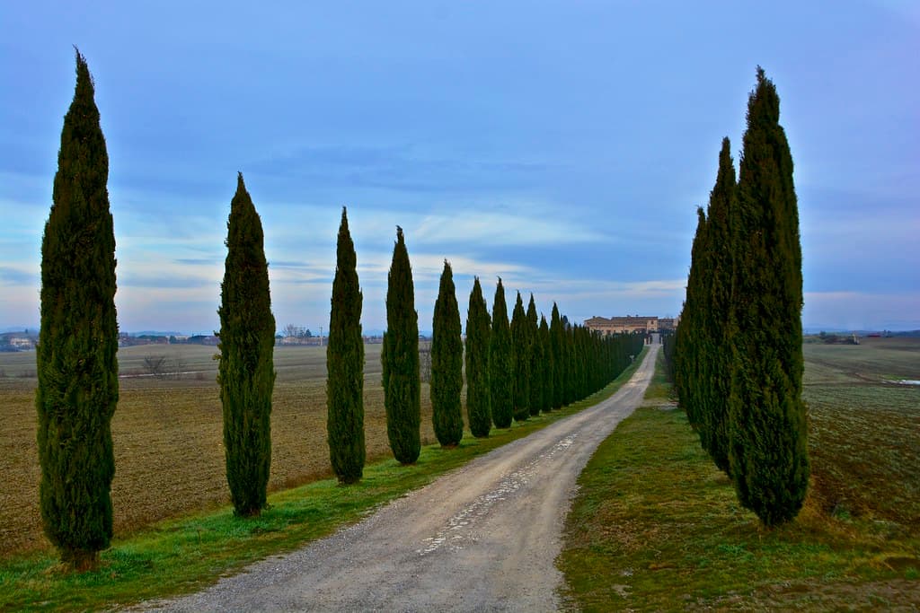 <center>⭐⭐⭐<br><br> Fly-Drive Rome  to  Venice</center>